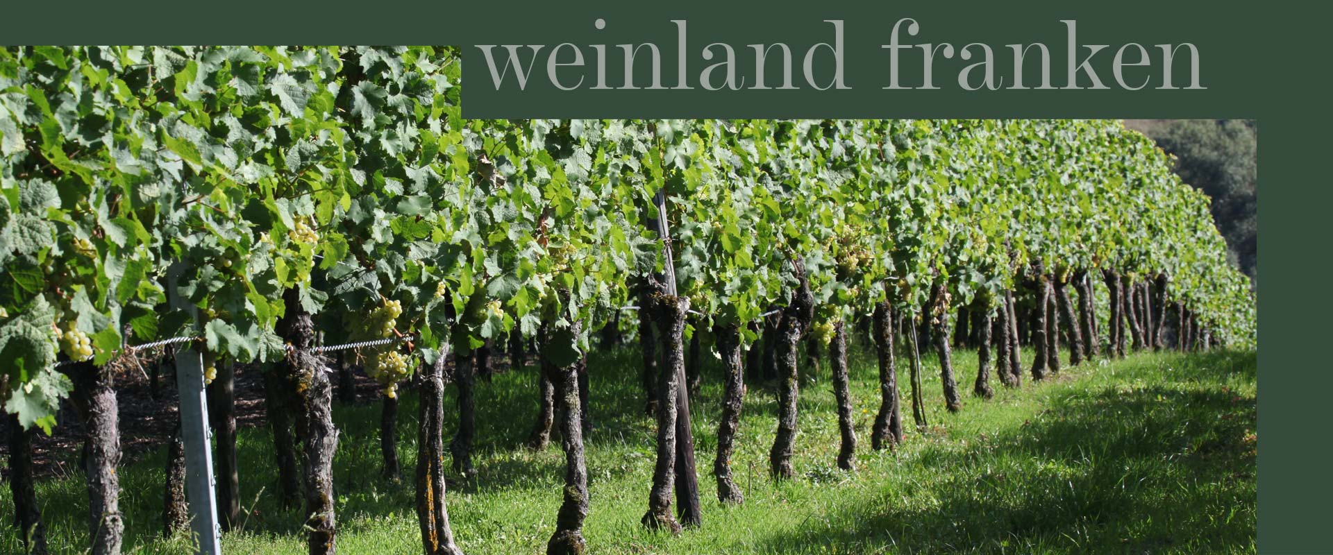 Weinland Franken
